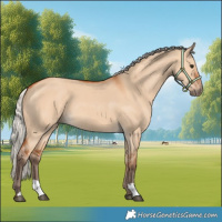 Horse Color:Silver Bay Dun