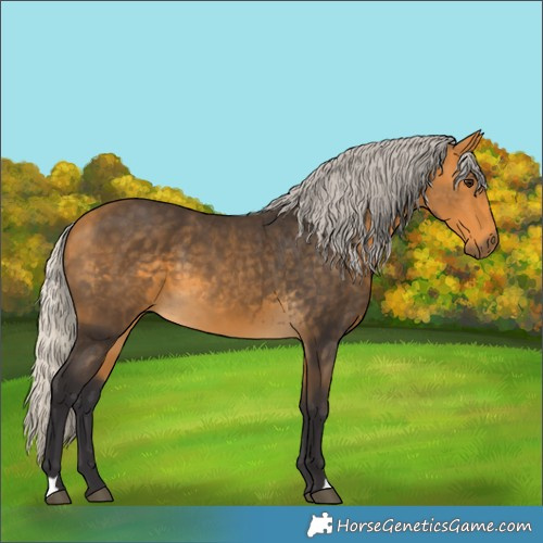 Horse Color:Silver Buckskin 
