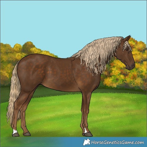 Horse Color:Chocolate Palomino