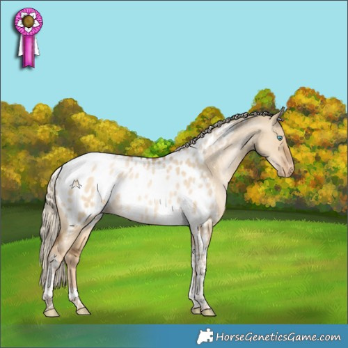 Horse Color:Chocolate Palomino Pearl Dun Tobiano Blanket 