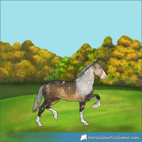 Horse Color:White Spotted Silver Buckskin Splash 