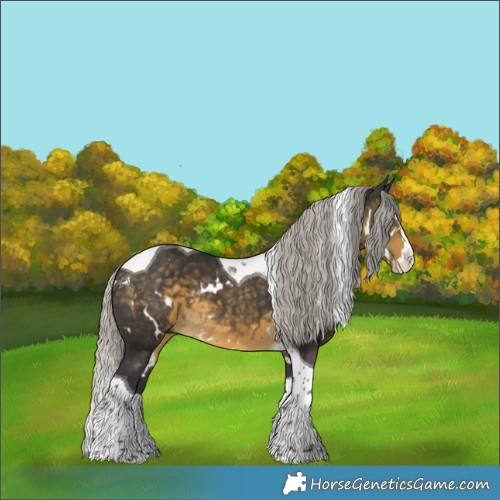Horse Color:White Spotted Silver Buckskin Splash Tobiano Rabicano 