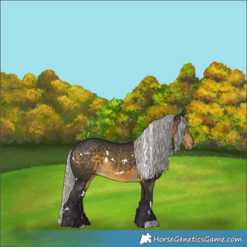 Horse Color:White Spotted Silver Buckskin