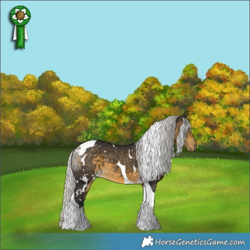 Horse Color:White Spotted Silver Buckskin Tobiano