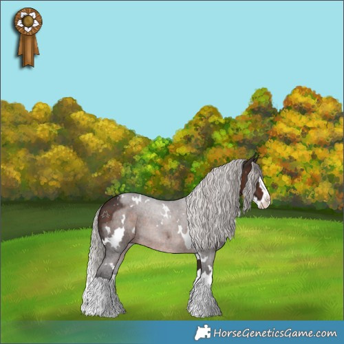 Horse Color:White Spotted Silver Brown Splash Rabicano 