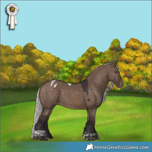 Horse Color:Silver Brown Dun Tobiano Blanket Rabicano 