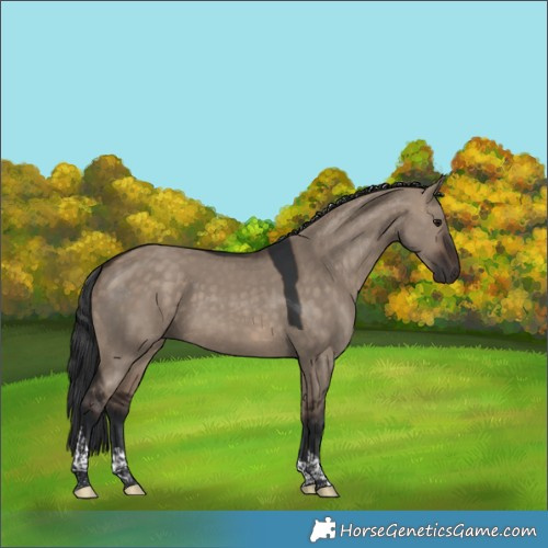 Horse Color:Brown Dun Tobiano Rabicano 