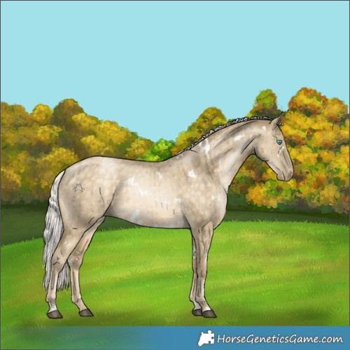 Horse Color:White Spotted Silver Buckskin Snowdrop Dun Rabicano Brindle 