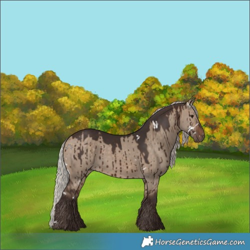 Horse Color:White Spotted Silver Brown Dun Rabicano Brindle 