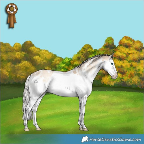 Horse Color:White Spotted Cremello Onyx Sabino Splash 