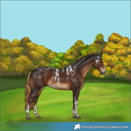 Horse Color:Powder White Gray Liver Chestnut Tobiano 