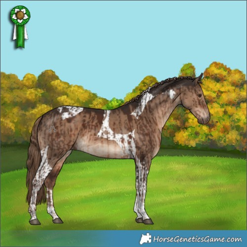 Horse Color:Liver Chestnut Tobiano  and Liver Red Dun Tobiano 