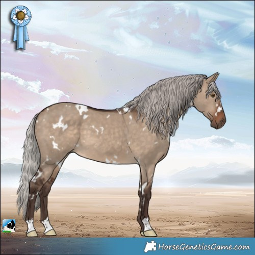 Horse Color:White Spotted Silver Brown Dun