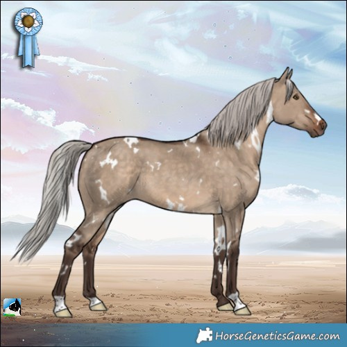 Horse Color:White Spotted Silver Brown Dun