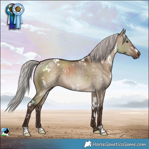 Horse Color:White Spotted Silver Brown Dun