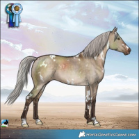 Horse Color:White Spotted Silver Brown Dun 