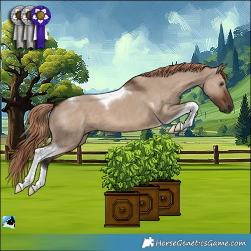Horse Color:Liver Red Dun Tobiano