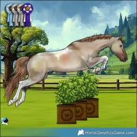 Horse Color:Liver Red Dun Tobiano 