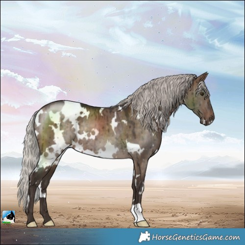 Horse Color:White Spotted Silver Brown Dun Rabicano Brindle