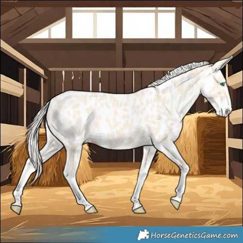Horse Color:Cremello Leopard 