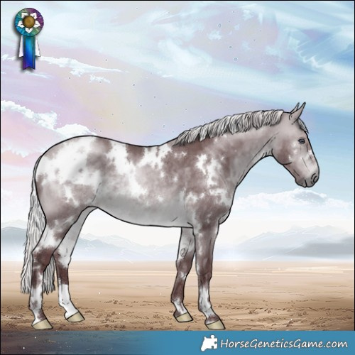 Horse Color:White Spotted Chocolate Silver Bay Chinchilla 