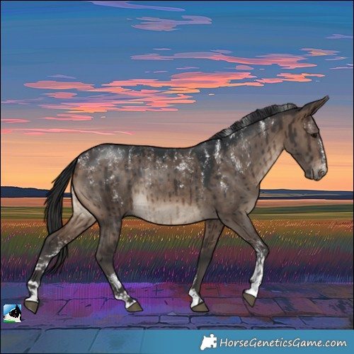 Horse Color:Powder White Brown Dun Rabicano Brindle