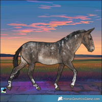 Horse Color:Powder White Brown Dun Rabicano Brindle