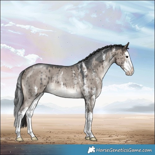 Horse Color:Brown Dun Mushroom Sabino Splash Rabicano Brindle 