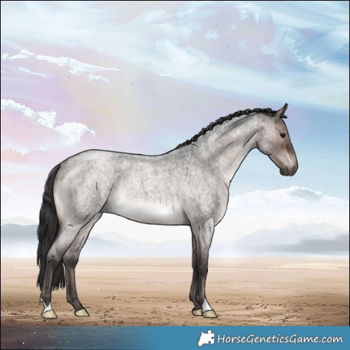 Horse Color:Brown Roan Dun Mushroom Rabicano 