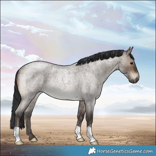 Horse Color:Brown Roan Dun Rabicano Brindle