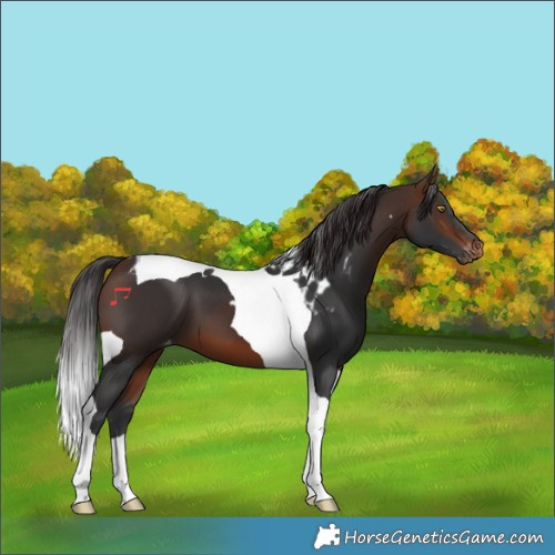 Horse Color:Brown Tobiano Skewed LP Spotted