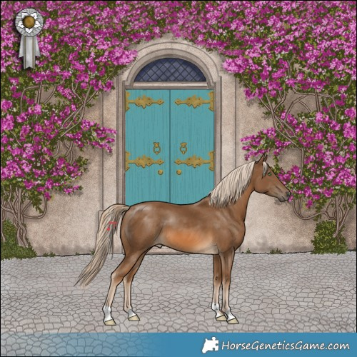 Horse Color:Chocolate Palomino 