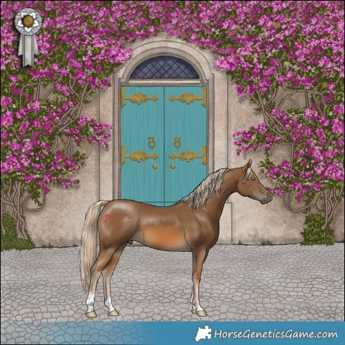 Horse Color:Chocolate Palomino