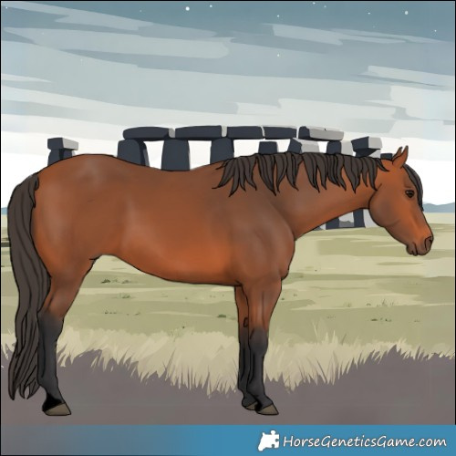 Horse Color:Void Bay 