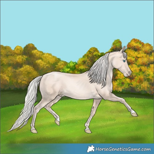 Horse Color:Gold Cream Champagne Pearl