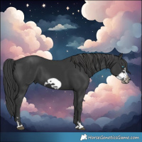 Horse Color:Black Frame