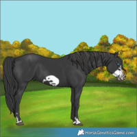 Horse Color:Black Frame
