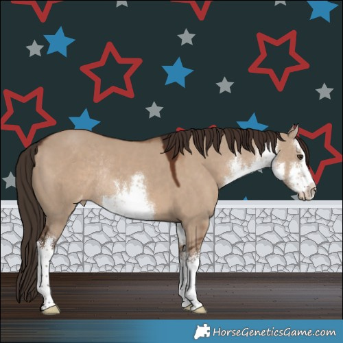 Horse Color:White Spotted Liver Red Dun Appaloosa Rabicano 