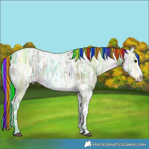 Horse Color:Painted Watercolor White Spotted Bay Ice Tobiano 