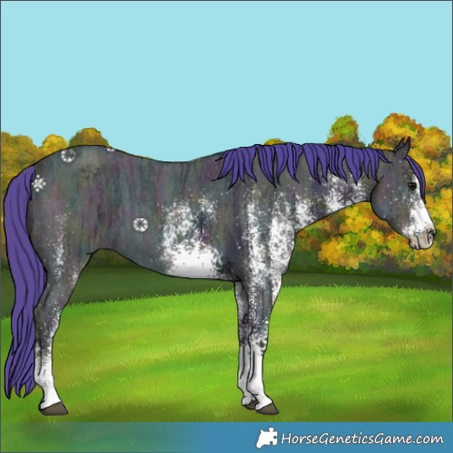 Horse Color:Watercolor White Spotted Midnight Brown Ice 