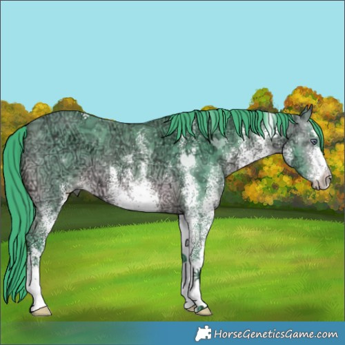 Horse Color:Watercolor White Spotted Bay Chinchilla Ice 