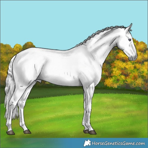 Horse Color:Liver Red Chinchilla Roan