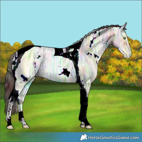 Horse Color:Nacre White Spotted Amber Champagne Ice Dun Tobiano