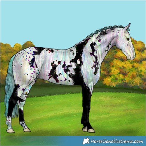 Horse Color:Nacre Watercolor White Spotted Buckskin Ice Tobiano 