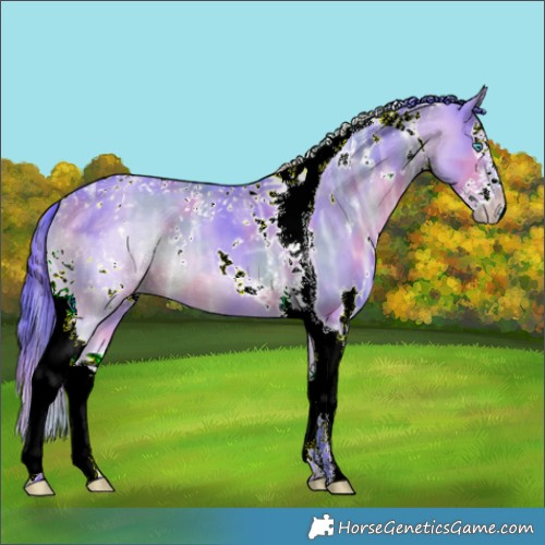 Horse Color:Nacre Watercolor White Spotted Brown Ice Dun Splash Tobiano 