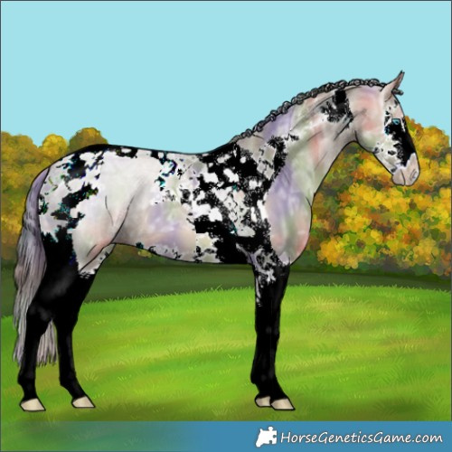 Horse Color:Nacre Brown Ice Dun Splash Tobiano 
