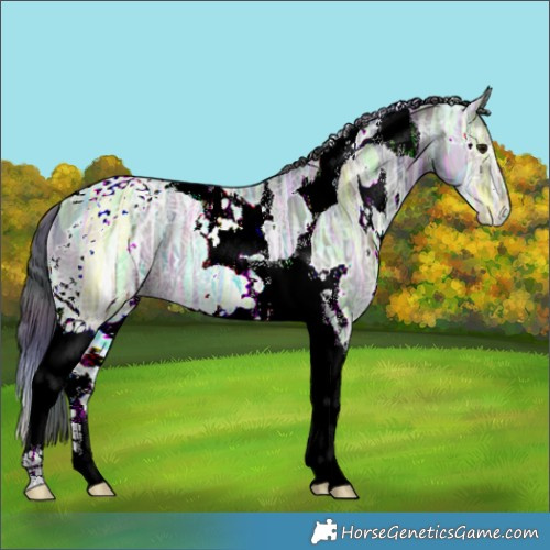 Horse Color:Nacre White Spotted Brown Ice Tobiano 