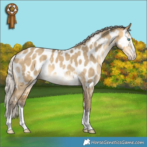 Horse Color:White Spotted Silver Sable Cream Champagne Dun Splash Appaloosa 