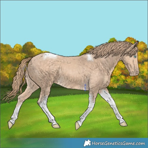 Horse Color:Perlino Tobiano 