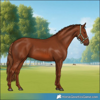 Horse Color:Chestnut 